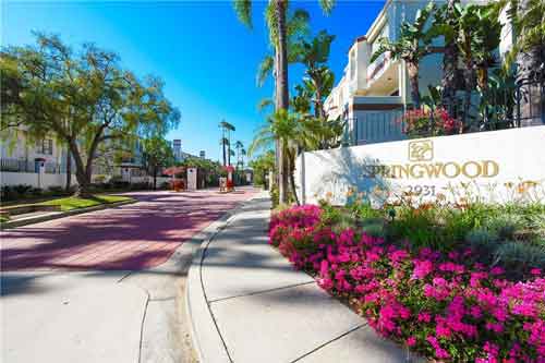 springwood townhomes