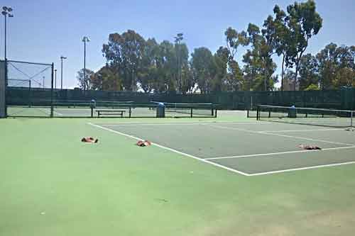 Wilson Park tennis courts in Torrance California